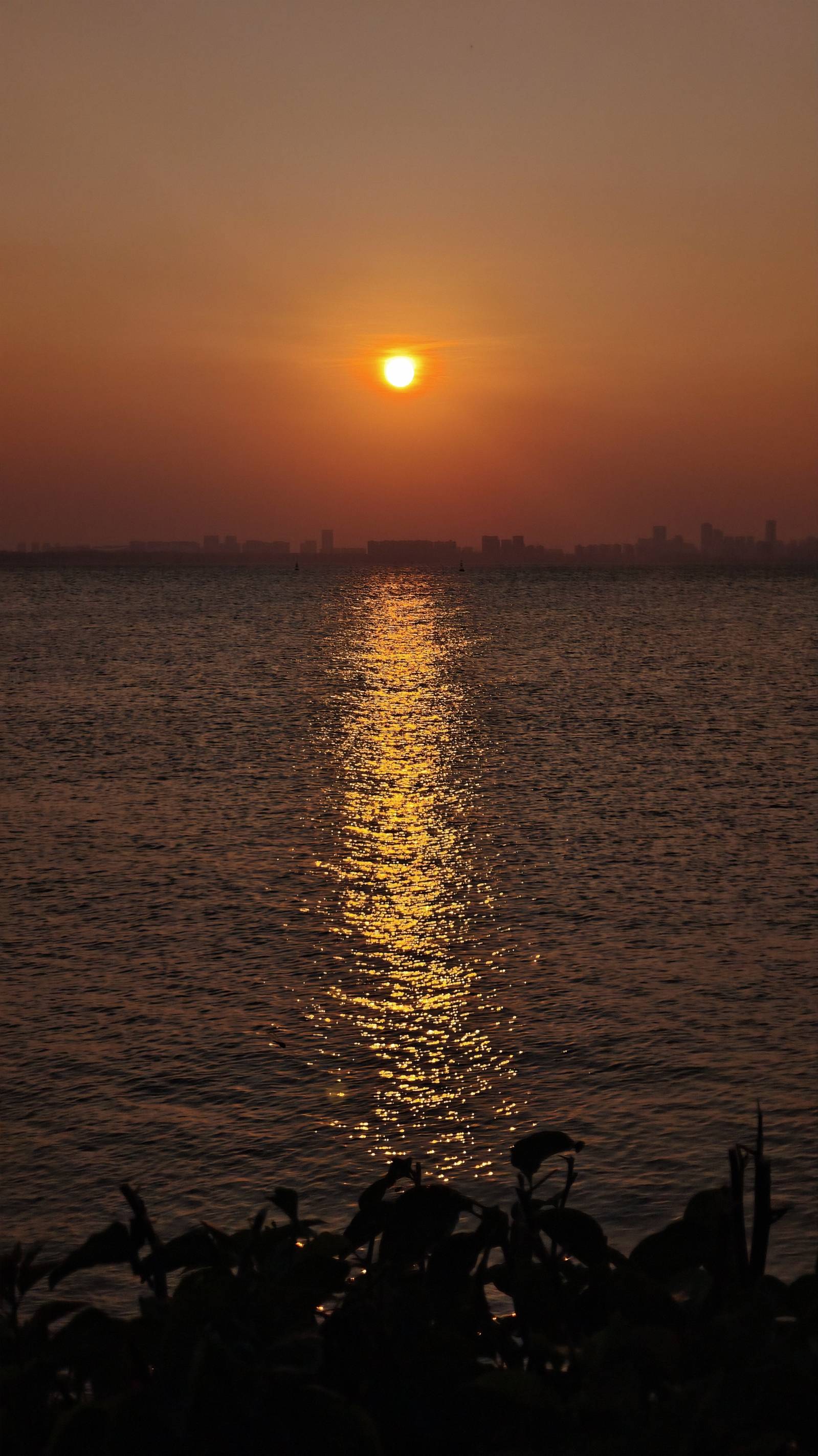 海面上的金色光带 夕阳在海面铺出一条金色光带