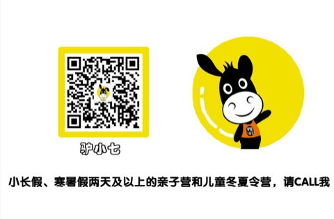 驴小七 · 长线活动咨询