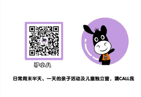 驴小八 · 周末活动咨询