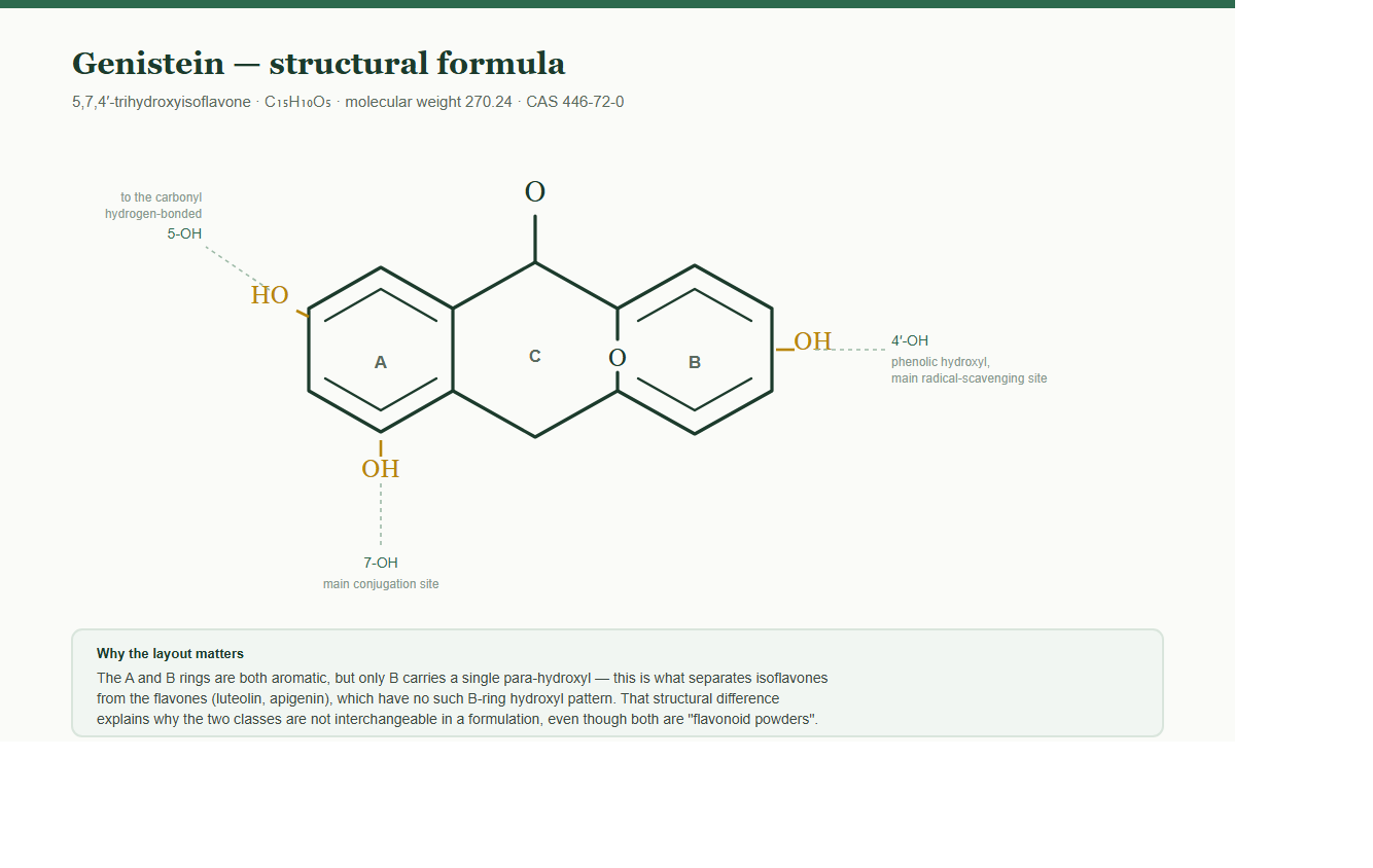 Genistein structural formula with annotated hydroxyl groups