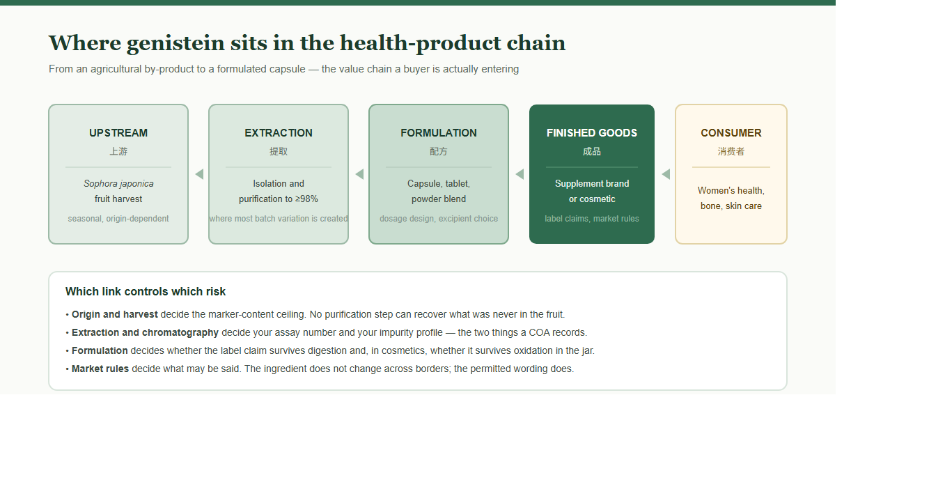 Value chain from Sophora japonica harvest to consumer product